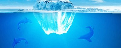 ​海豚靠什么游泳 海豚在海里游泳是怎么游的