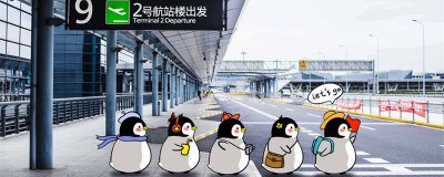 ​导游证怎么考 初级导游证怎么考