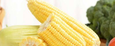 ​烤箱烤玉米生烤行吗 烤箱烤玉米用什么模式