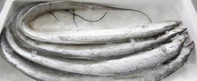 ​怎样炸带鱼好吃又脆 怎样炸带鱼又脆又好吃