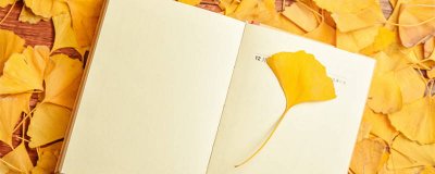 ​银杏的用途 银杏的用途与作用