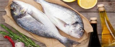 ​鱼身上最有营养的部分 鱼身上营养价值最高的部位