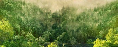 ​地球三大生态环境是哪三个 为什么地球70%以上都是海洋