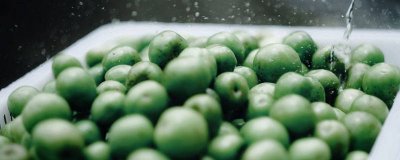 ​酸梅是什么水果 酸梅是什么水果的果实类型