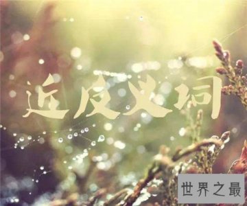 ​感动的近义词有哪些？博大精深的文字造就多个近义词