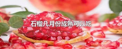 ​石榴要几月份成熟 石榴几月份吃好