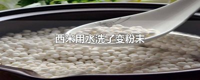 ​西米洗的时候会碎 西米用水一洗就散了