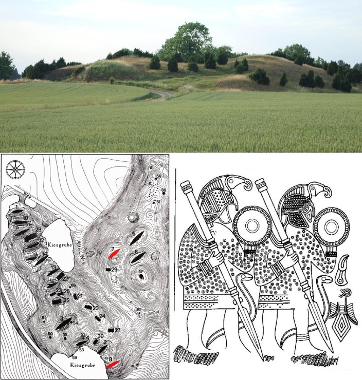 瑞典铁器时代勇士的坟墓中发现羽绒被