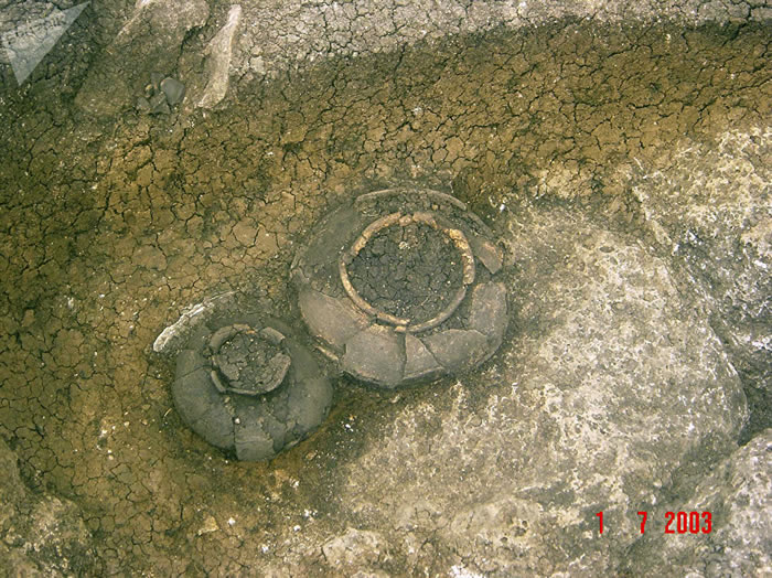 化学家和考古学家研究证实葡萄酒起源于格鲁吉亚