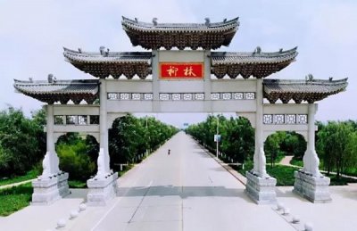 ​1985年的凤柳酒多少钱