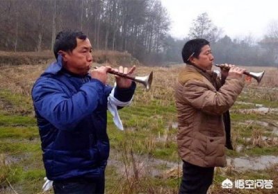 ​12年燕赵酒典多少钱(赵王酒20年多少钱)