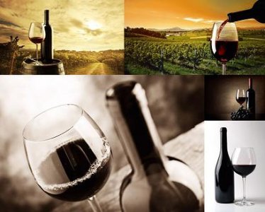 ​制葡萄酒设备(葡萄酒设备生产线)