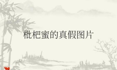 ​枇杷蜜的真假图片辨别