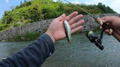 ​ul和l路亚适合钓多大的鱼（哪个实用且值得入手）