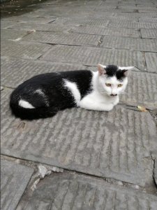 ​老传统酒35度的价格表(老传统30年酒价格表)