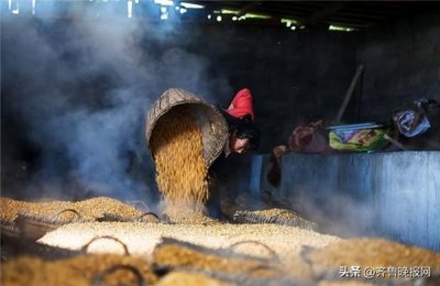 ​酒之头陈酿白酒价格(白酒的头酒)