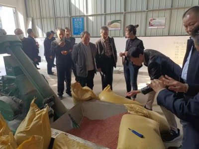 ​屈原酒多少钱一瓶(屈原醇多少钱一瓶)