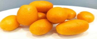 ​金桔糖分高吗