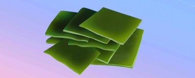 ​海带是海藻吗