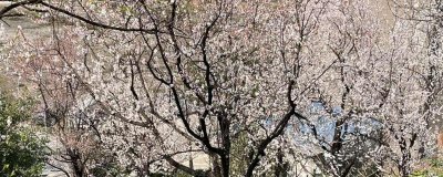 ​闰二月的年份有哪些