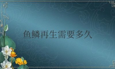 ​鱼鳞再生需要多久才能成功（鱼鳞掉了怎样恢复最快）