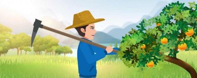 ​柚子和虾可不可以一起吃