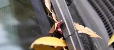 ​雨刮器异响如何调整