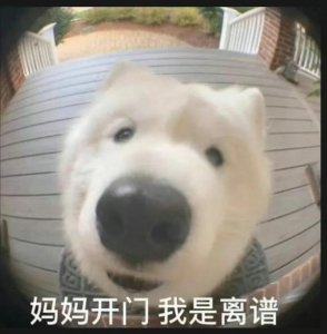 ​什么？！他被曝装gay揩油素人？（后续原贴已删）