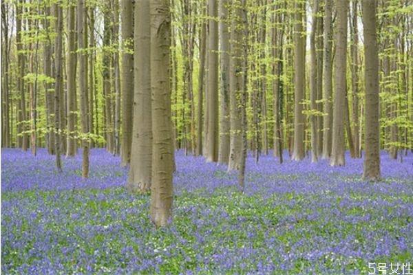 异地男朋友出轨了要分手 异地男朋友出轨了我该怎么办