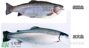 三文鱼有刺吗？三文鱼的刺怎么处理