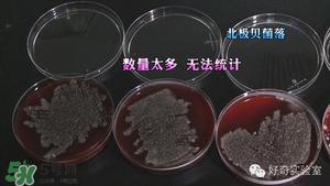 三文鱼有刺吗？三文鱼的刺怎么处理