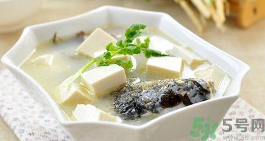 吃鱼真的能变聪明吗？喝鱼汤有什么好处？