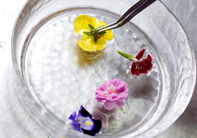 可以吃的花有哪些图片 好看又好吃