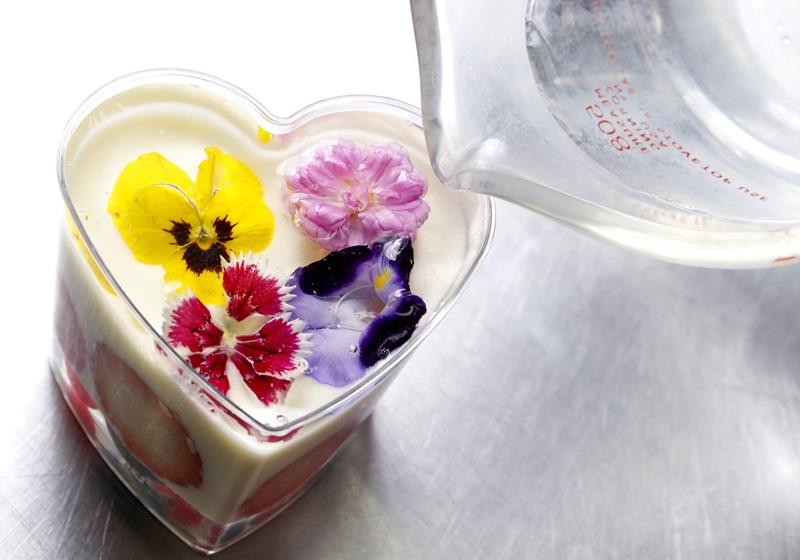 可以吃的花有哪些图片 好看又好吃