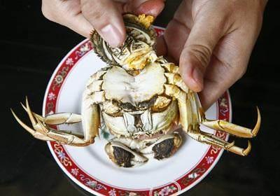 阳澄湖大闸蟹怎么吃？食阳澄湖大闸蟹注意事项