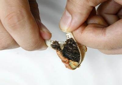 阳澄湖大闸蟹怎么吃？食阳澄湖大闸蟹注意事项