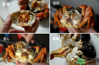 阳澄湖大闸蟹怎么吃？食阳澄湖大闸蟹注意事项