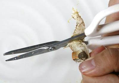 阳澄湖大闸蟹怎么吃？食阳澄湖大闸蟹注意事项