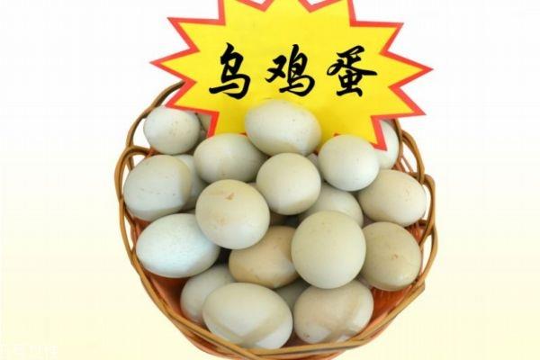 乌鸡蛋怎么吃 乌鸡蛋的做法大全