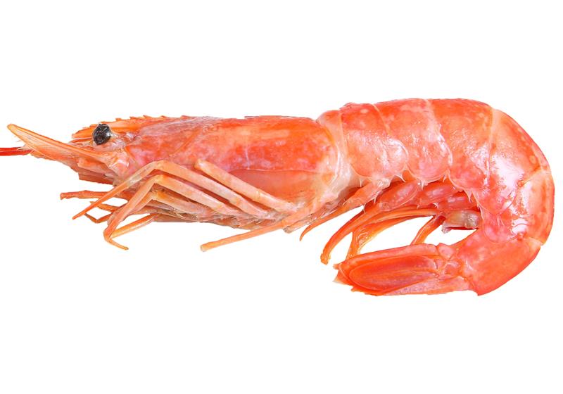 不同品种的基围虾怎么吃最好