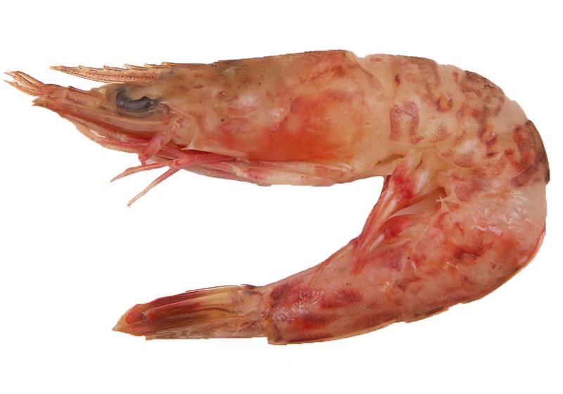 不同品种的基围虾怎么吃最好