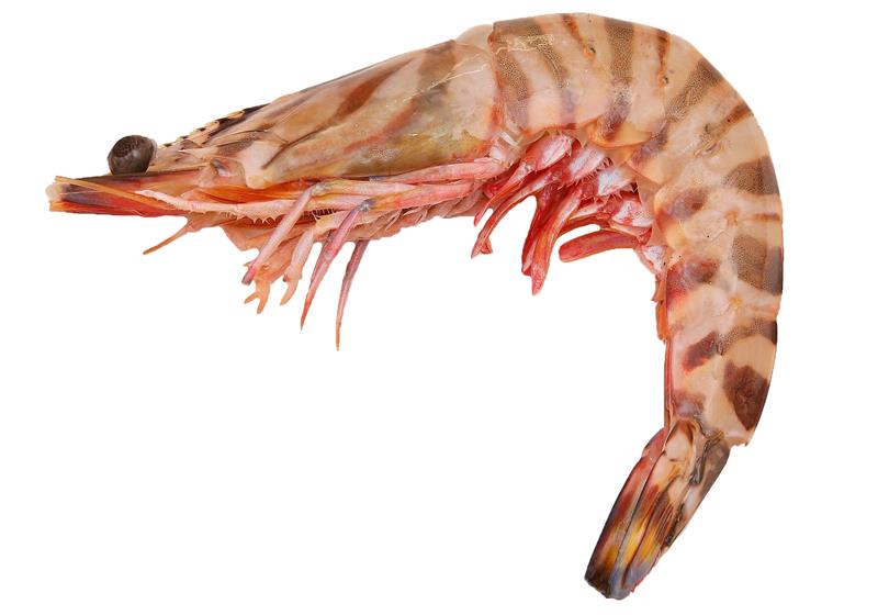 不同品种的基围虾怎么吃最好