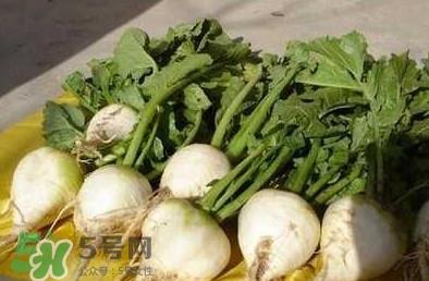 芥菜丝怎么腌制？芥菜丝的腌制方法大全