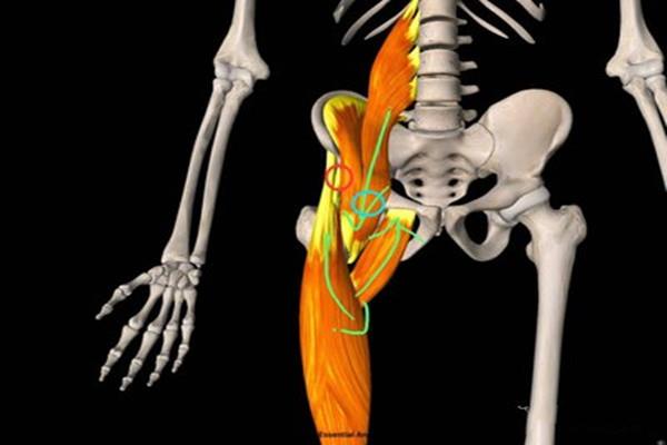 锻炼腹直肌要注意什么 锻炼腹直肌的注意事项