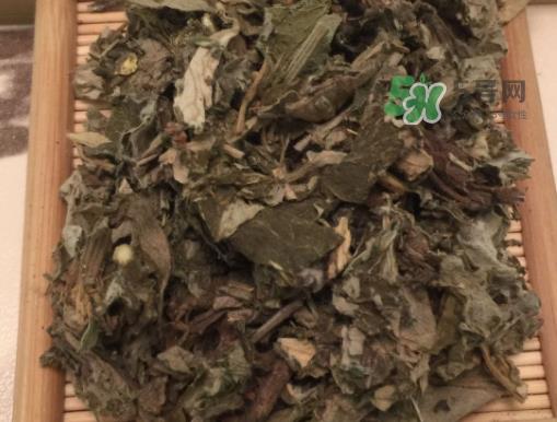 三伏天能用艾叶泡脚吗_用艾叶泡脚好吗_用艾叶泡脚的好处