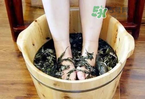 三伏天能用艾叶泡脚吗_用艾叶泡脚好吗_用艾叶泡脚的好处