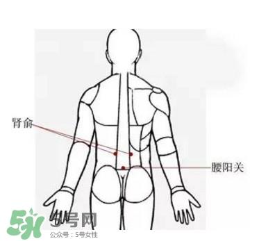 艾灸能减肥吗？艾灸能不能减肥