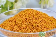 蜂花粉的营养价值 蜂花粉的功效与作用