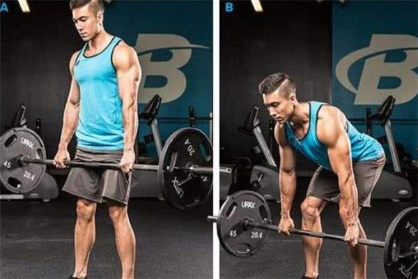 直腿硬拉和屈腿硬拉的区别 直腿硬拉和屈腿硬拉哪个好