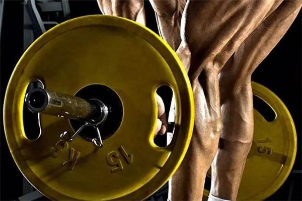 直腿硬拉和屈腿硬拉的区别 直腿硬拉和屈腿硬拉哪个好